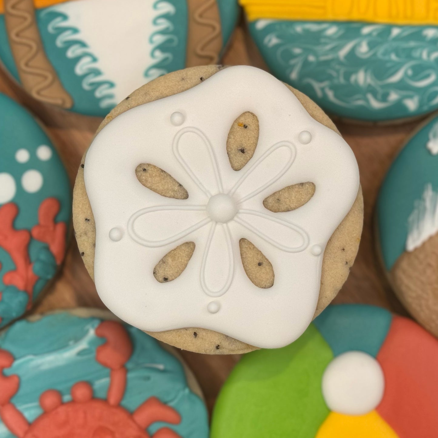 Summer Rounds (Set of 8)