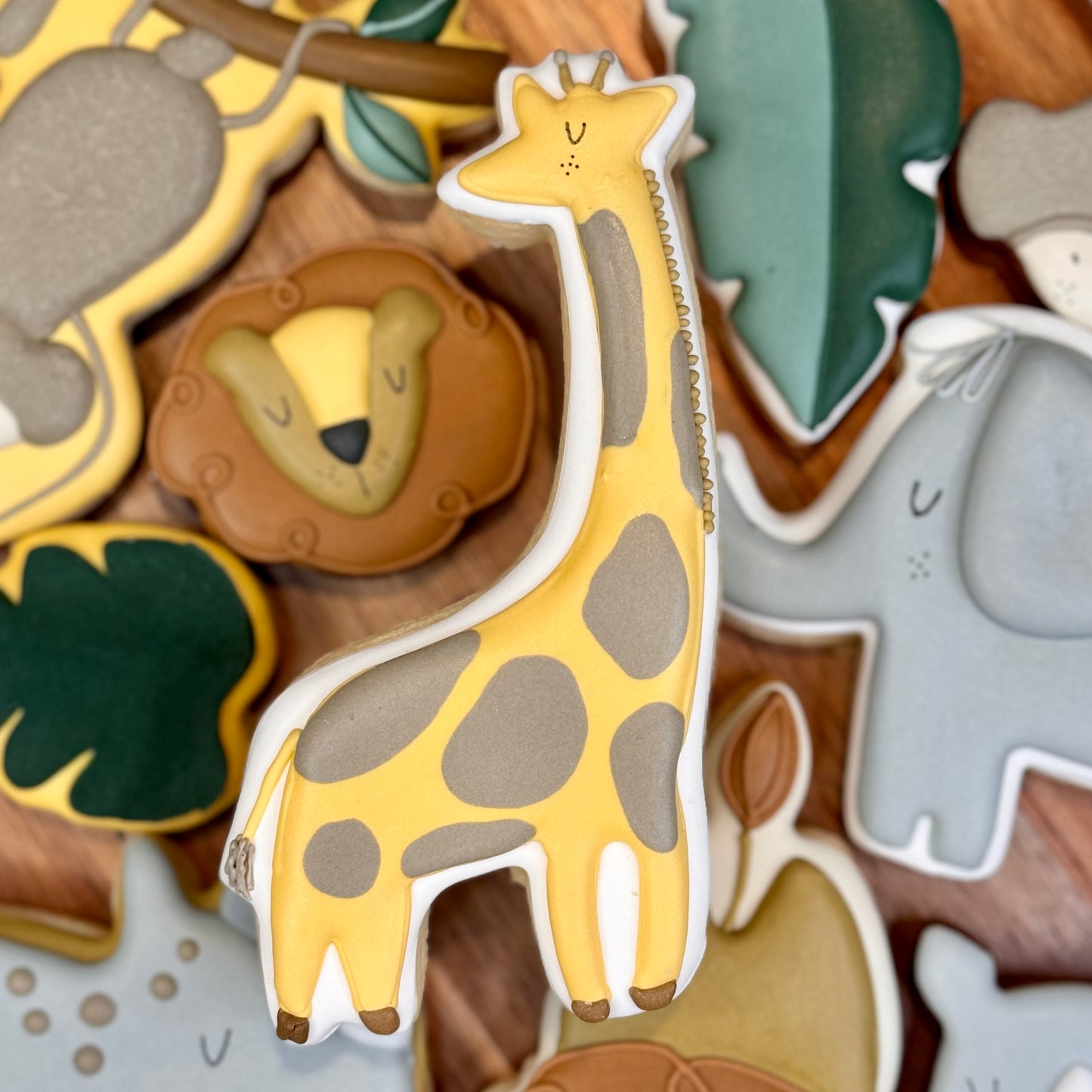 Jungle Cookies (10 cookies)