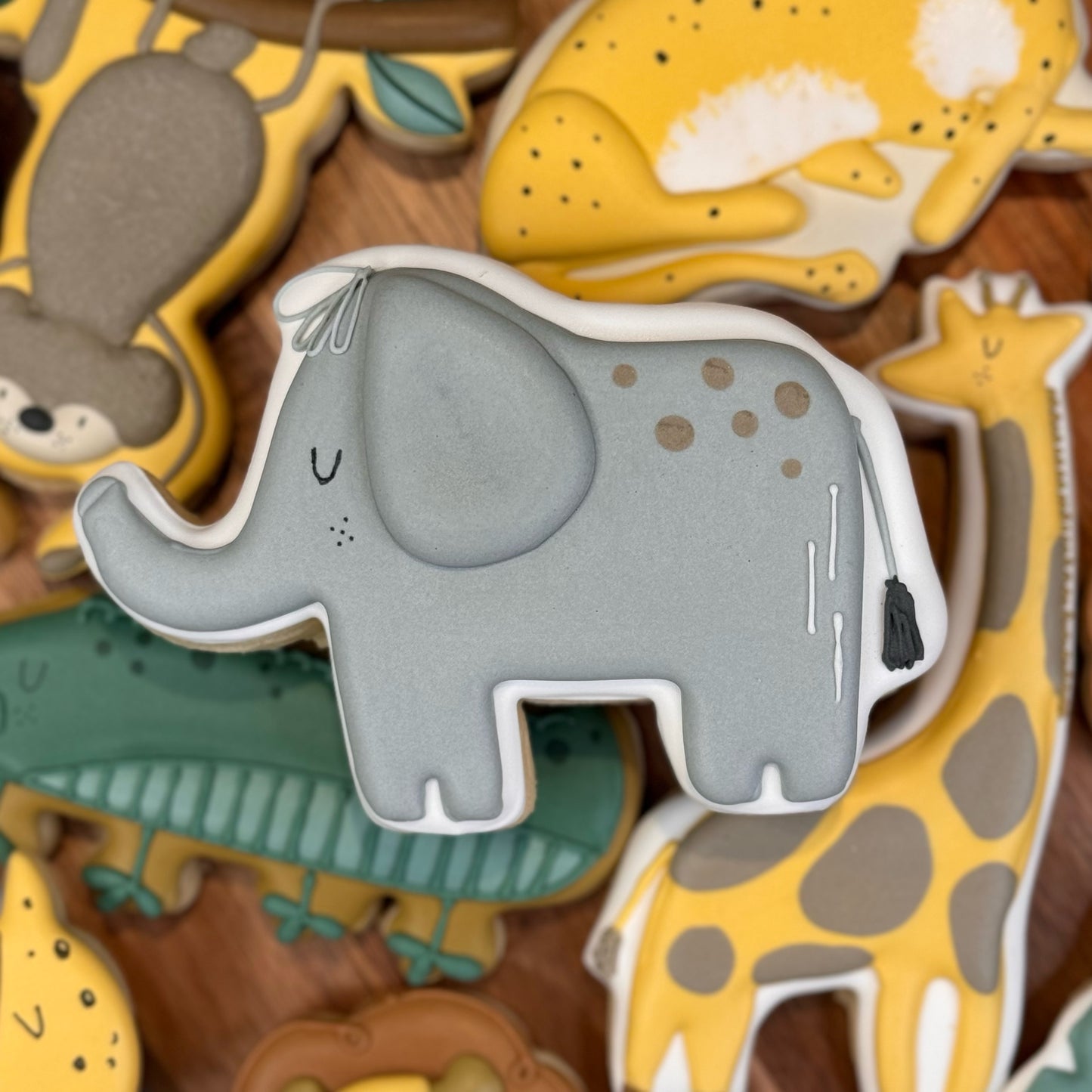 Jungle Cookies (10 cookies)