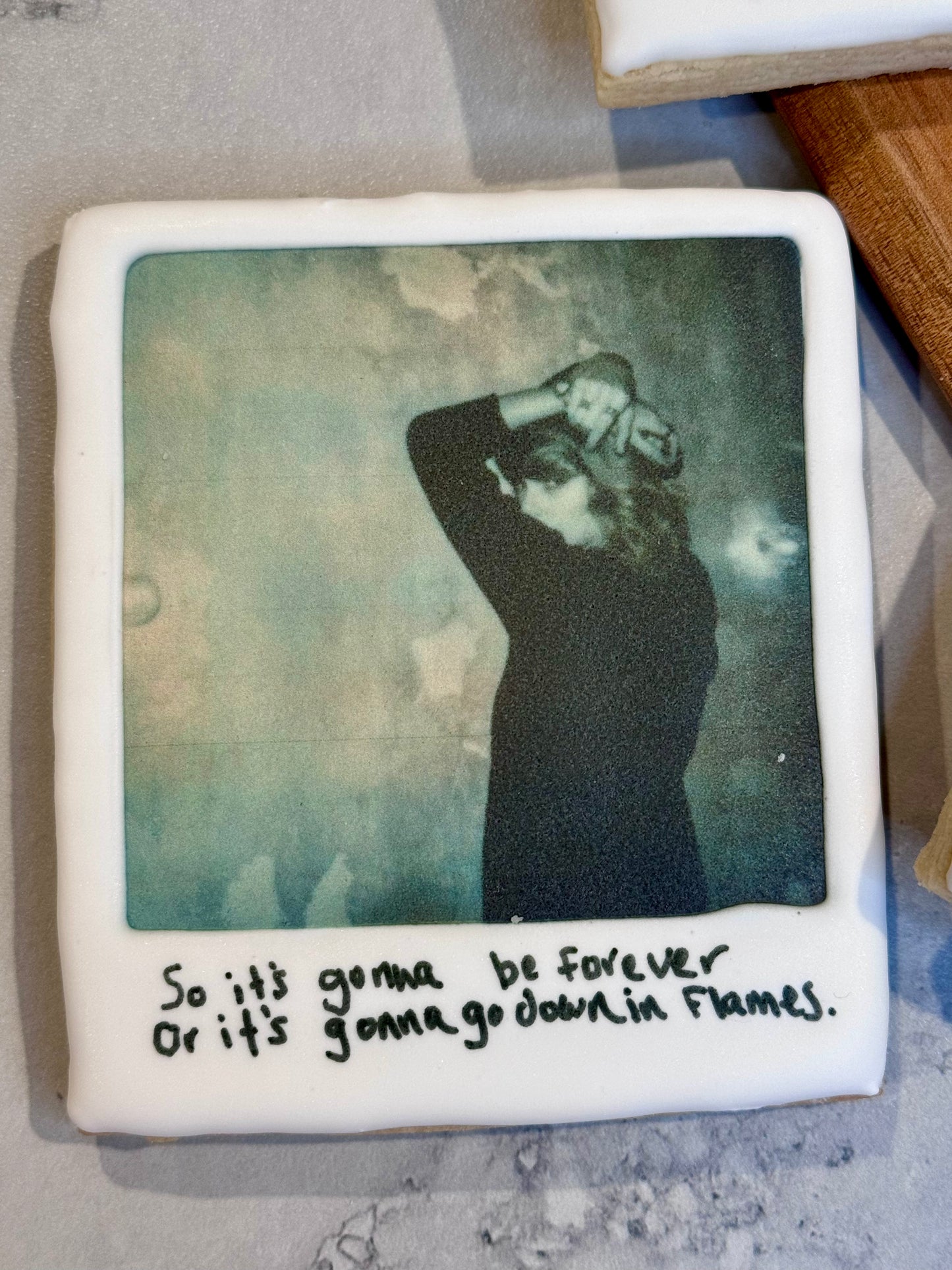 TS Polaroids (1/2 dozen)